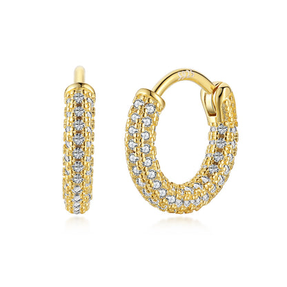 [Regalia Jewelry]Delicate Versatile Daily Earrings