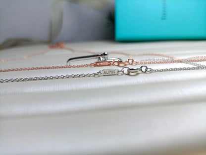 [Regalia Jewels]HARDWEAR DROP DOUBLE LINK PEDANT NECKLACE